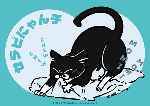 セラピにゃん子 ( IPCD ) - PERSONAL PET GIFTBOX