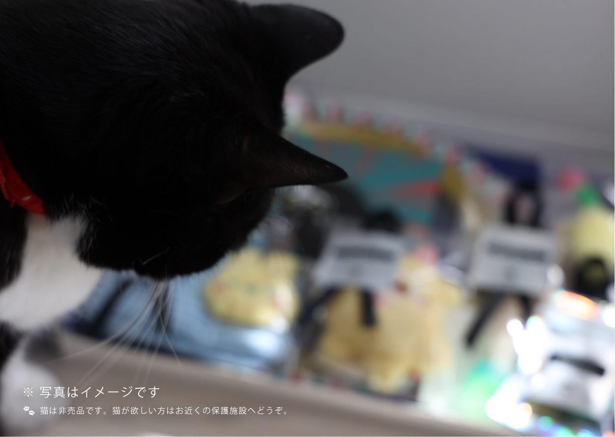 ツンデレにゃん子 ( IPSG ) - PERSONAL PET GIFTBOX